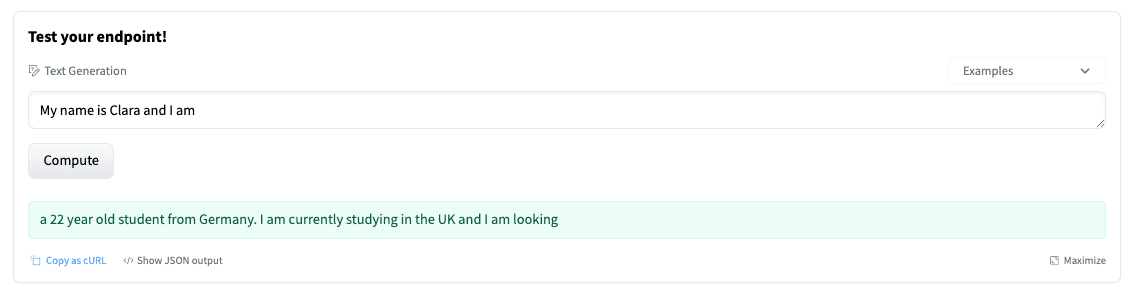 Test Inference Widget
