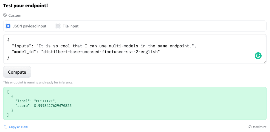 run-inference